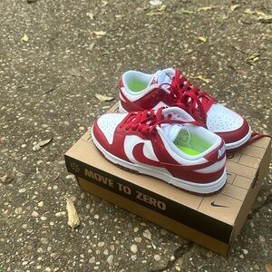 Women’s Nike dunks